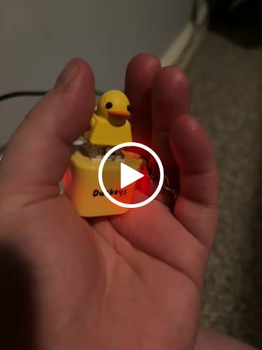 Customer video review of Quackey - Fidget Toy that Quacks!