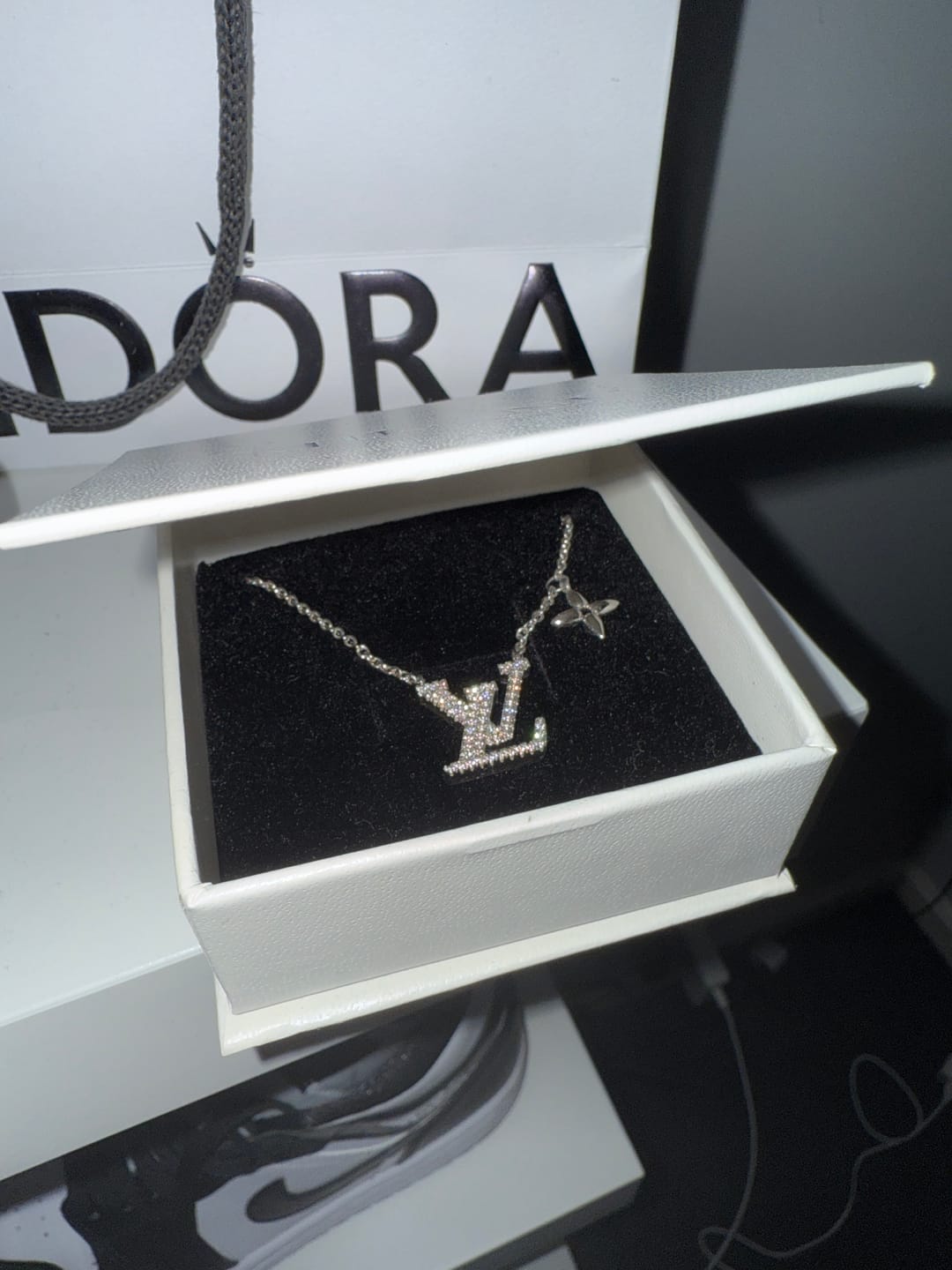 Customer photo review of Leya Necklace Silver