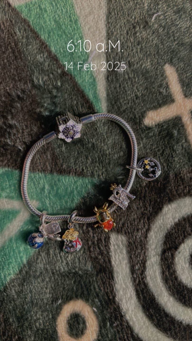 Customer photo review of Charm Letras del Alfabeto Elegantes