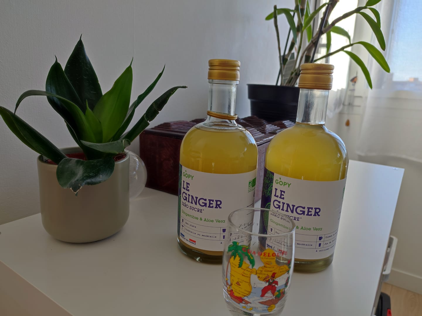 Customer photo review of Le Ginger Zéro Sucre Aloe