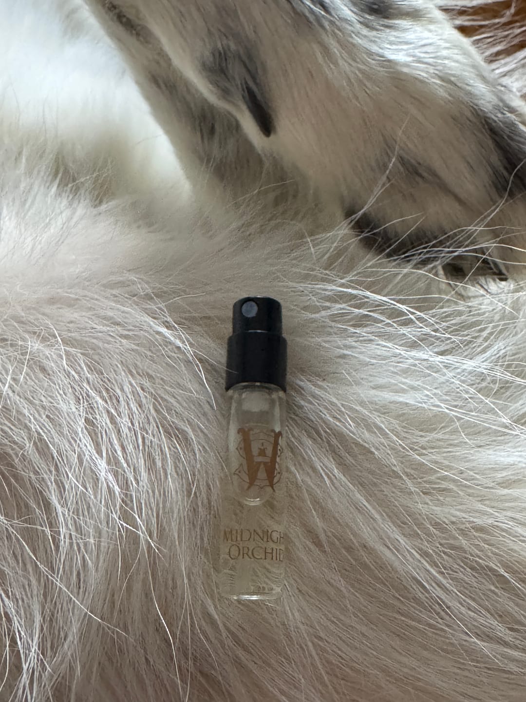 Customer photo review of Midnight Orchid