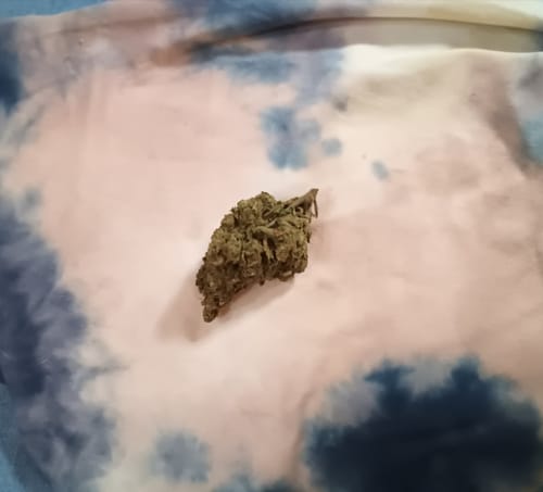 Customer photo review of Gold Spectrum THCA Flower (Top) - Panama Red