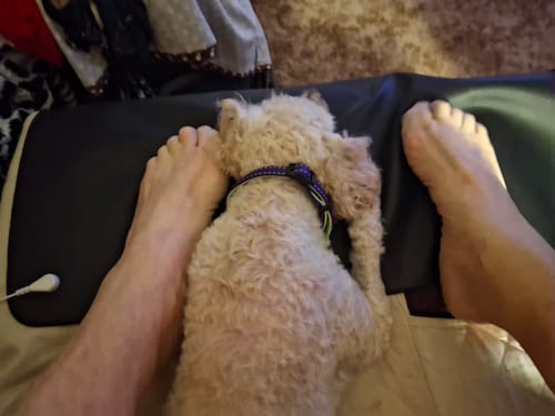 Customer photo review of PureGrounding® Grounding Mat
