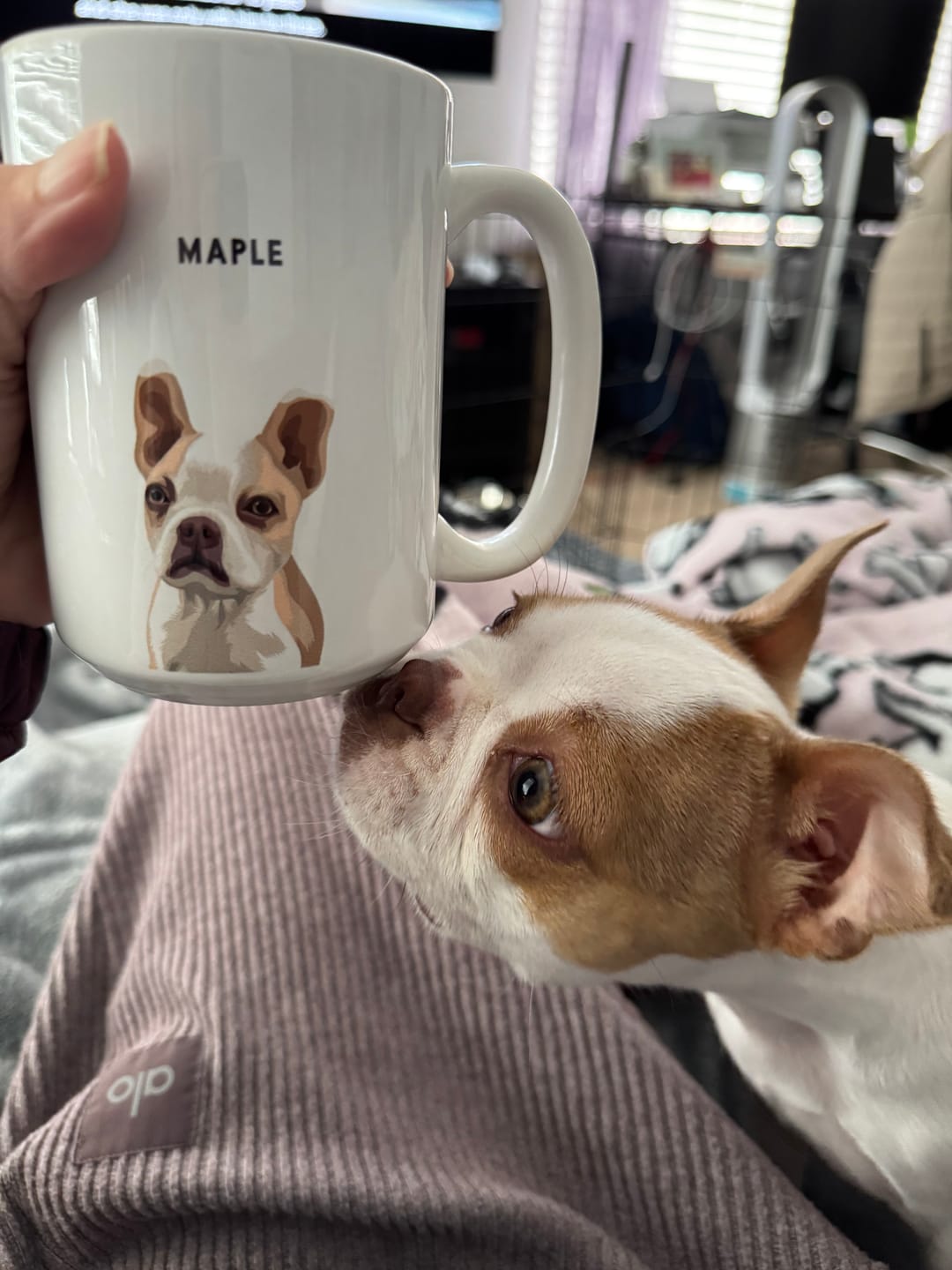 Customer photo review of Custom Pet Portrait Mug