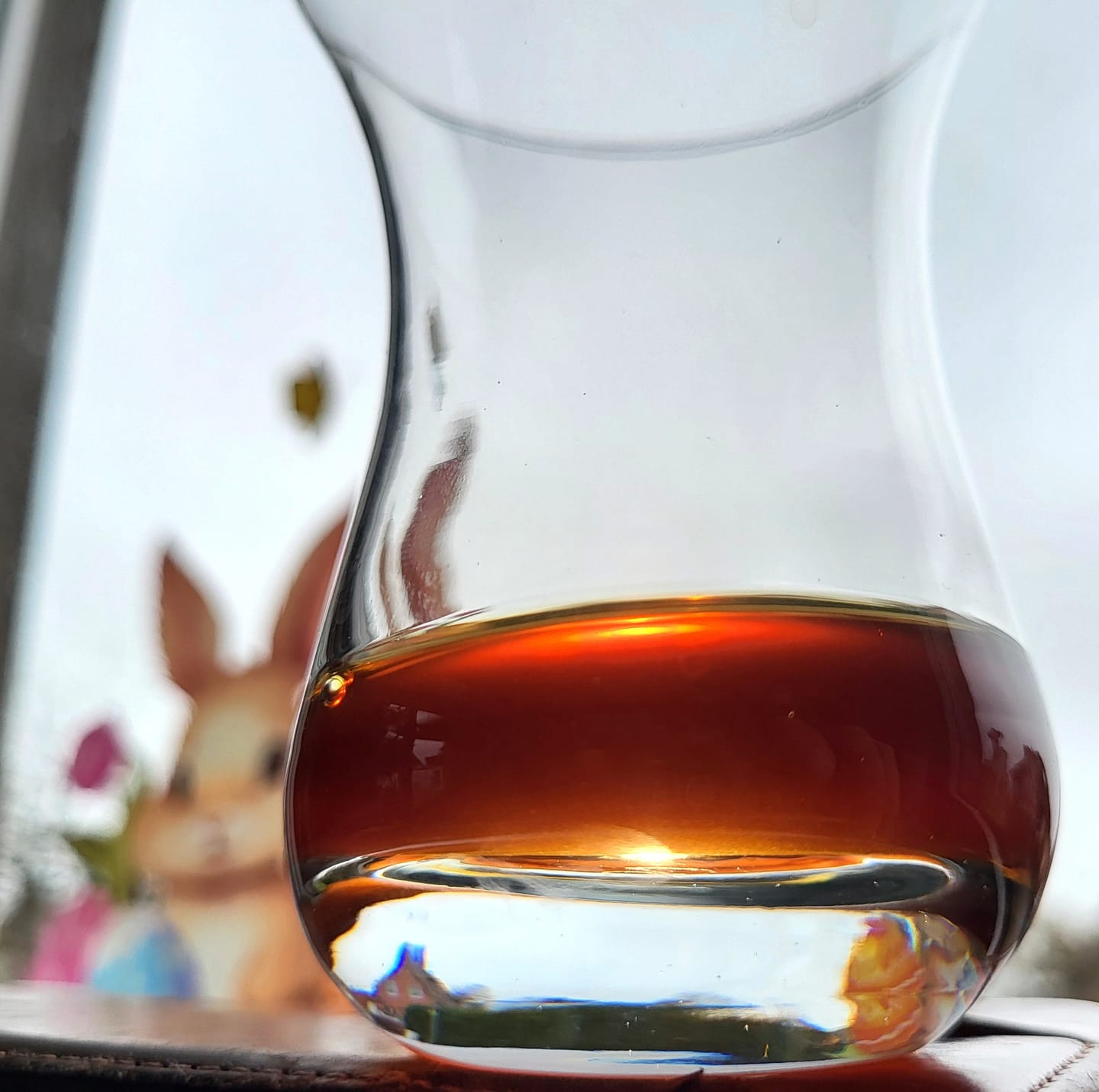 Customer photo review of Filterkaffee Mount Kenia
