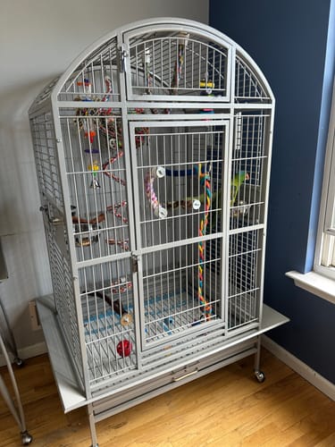 Customer photo review of Kings Cages 9003628 Dome Top Bird Cage 36X28X67