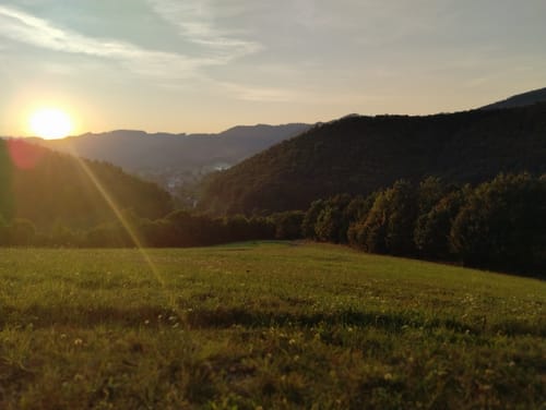 Customer photo review of LO’ VERTE