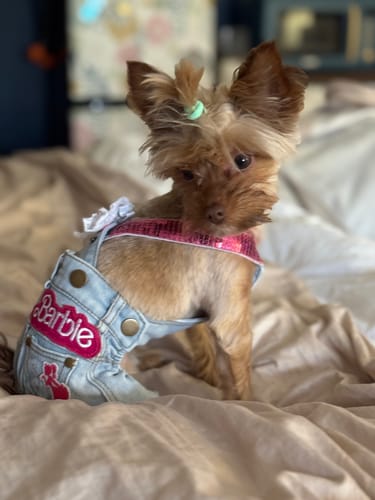 Customer photo review of Barbie Overalls