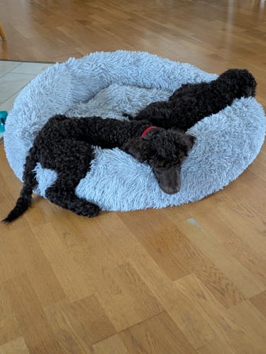 Customer photo review of CalmBed - Motverkar stress & hjälper mot ångest