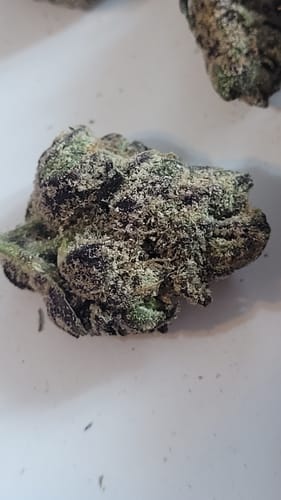 Customer photo review of Codeine Cupz Smalls