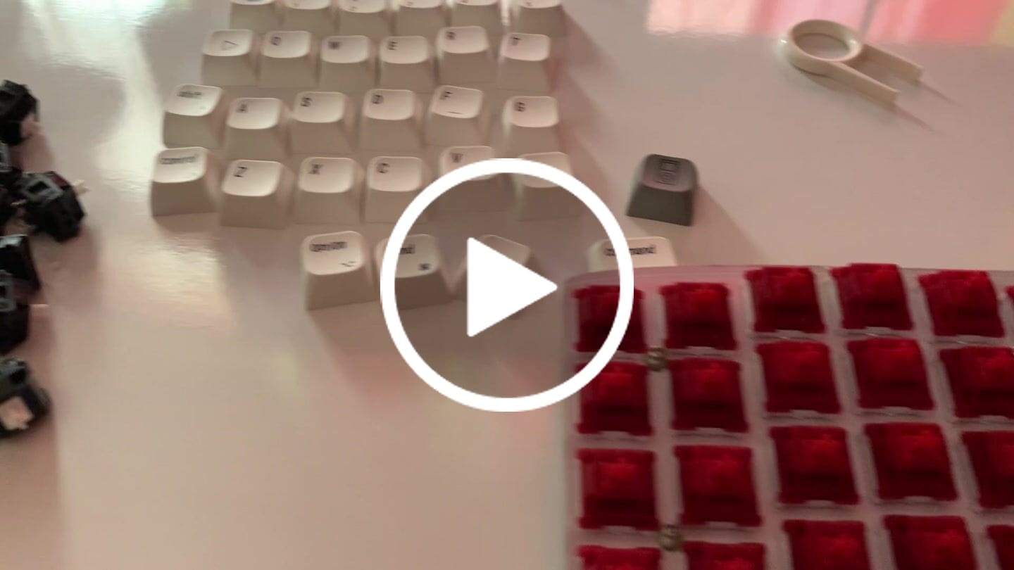 Customer video review of SILLYWORKS X GATERON TYPE R TACTILE SWITCH FACTORY LUBED EDITION (10PCS)