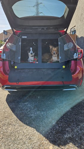 Customer photo review of Toyota Corolla Touring Sports | 2019-Present | Dog Travel Crate | DT 18