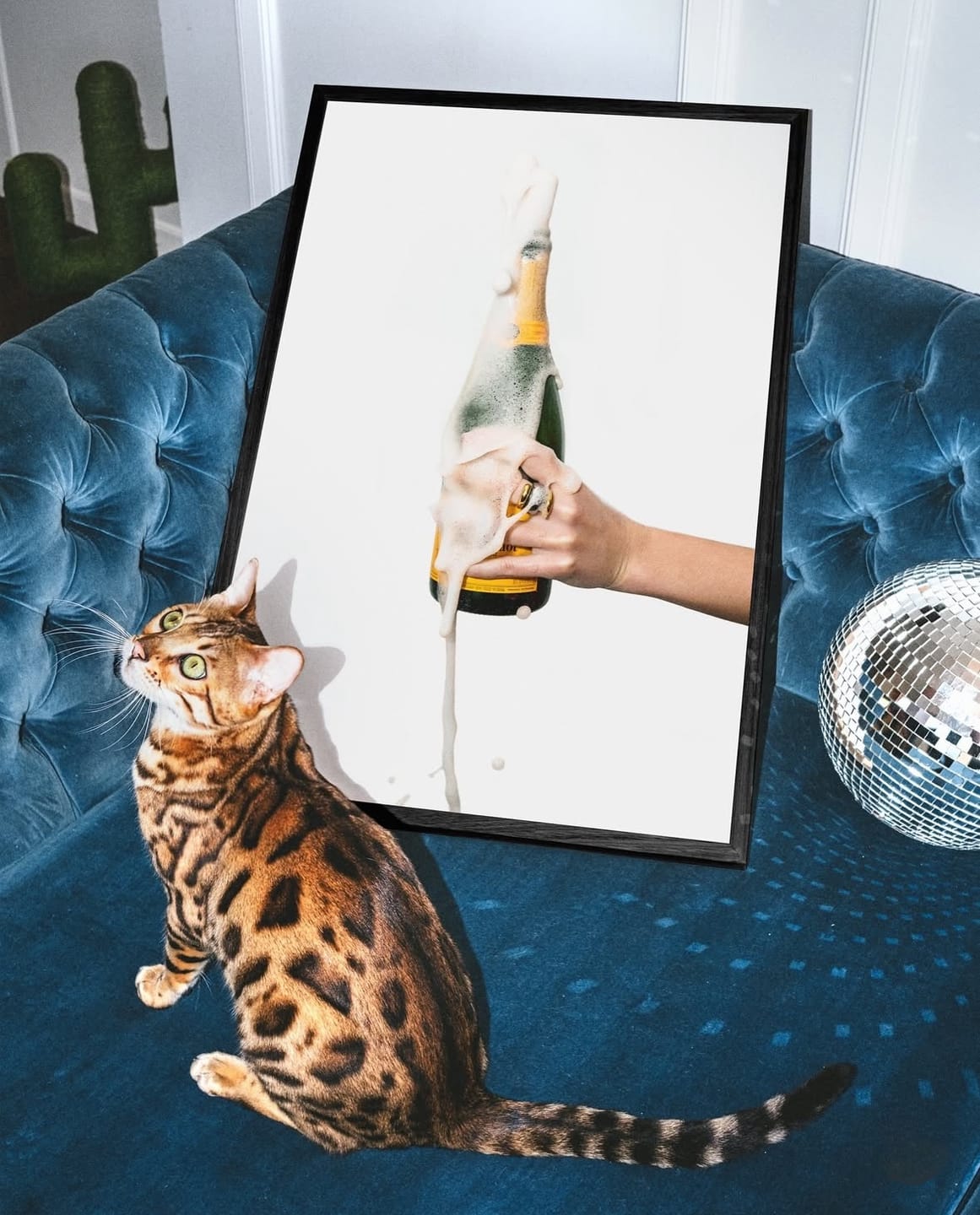 Customer photo review of The Penthouse Bundle | 10 Mockups