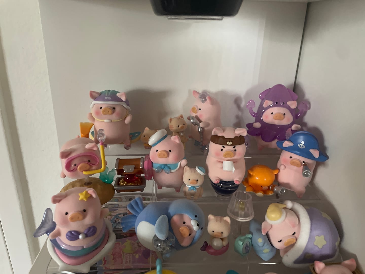 Customer photo review of LuLu The Piggy Stay With You Series Blind Box