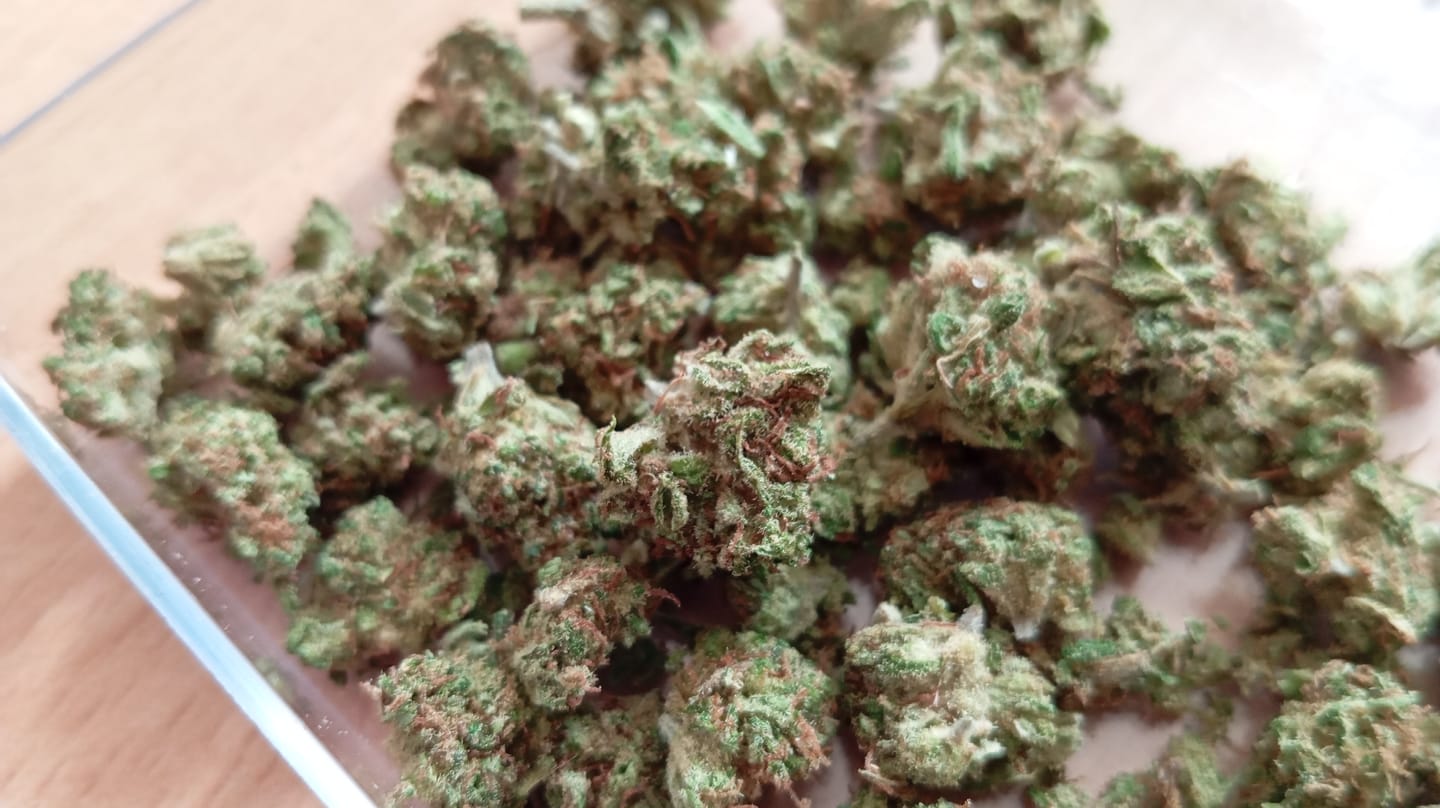 Customer photo review of 🎂 Wedding Cake - Power LVL 5/5
