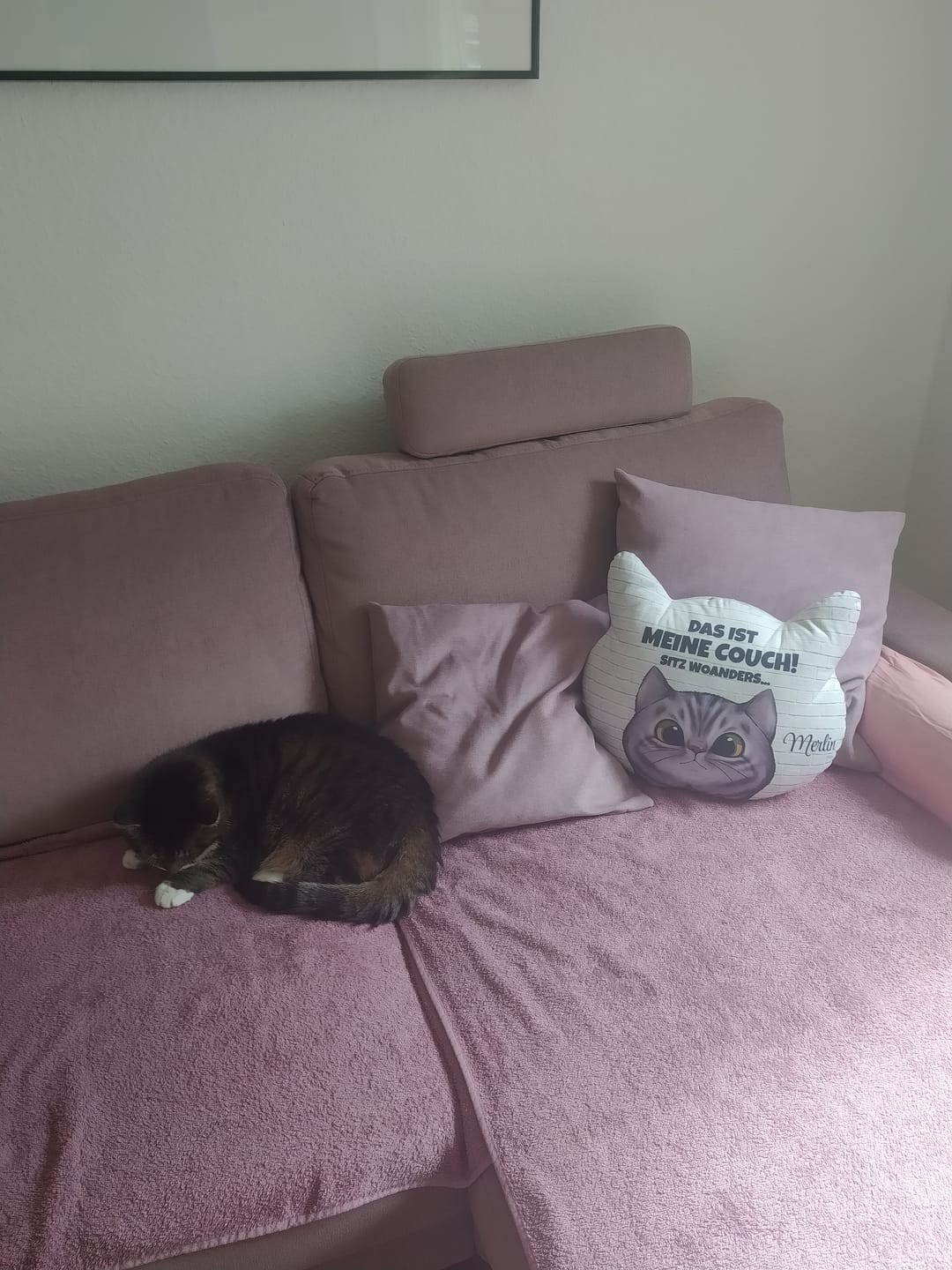 Customer photo review of Unsere Couch - Individuelles Formkissen