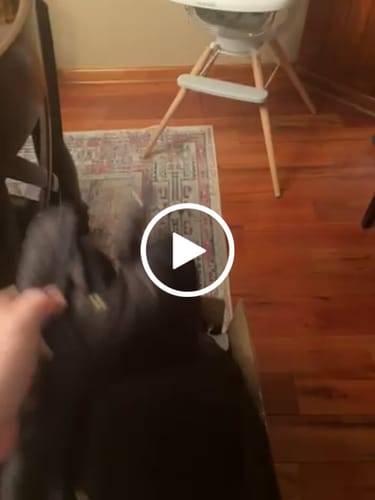 Customer video review of J. Crew Women's Secondhand Wholesale Clothing