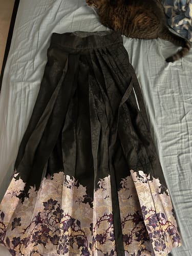 Customer photo review of Jin Se 锦瑟 Ornamental Zither Modernized Ming Dynasty Liling Duijin Shan & Mamian Skirt Set