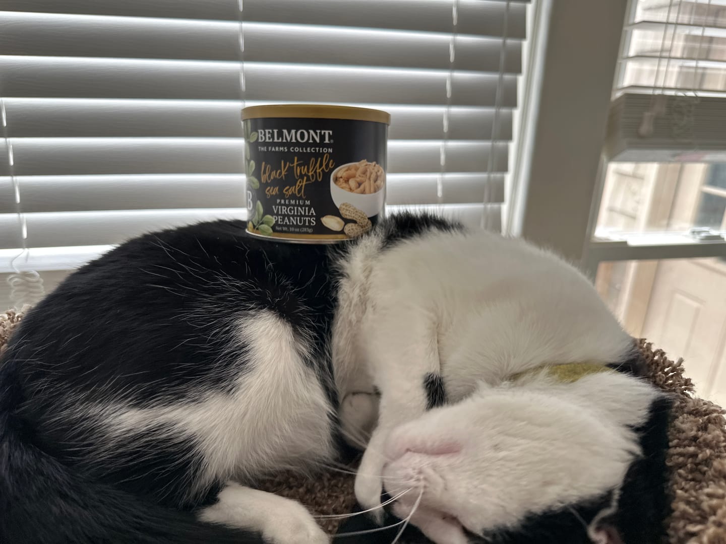Customer photo review of Black Truffle Sea Salt