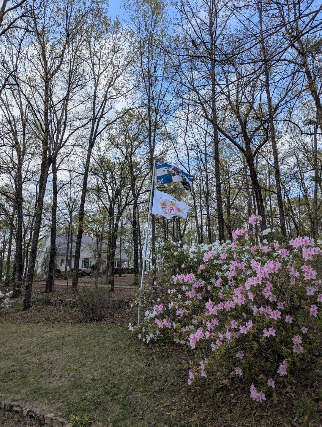 Customer photo review of Flag of the Sacred Heart – Indoor/outdoor Flag – Polyester 2x3, 3x5 Feet