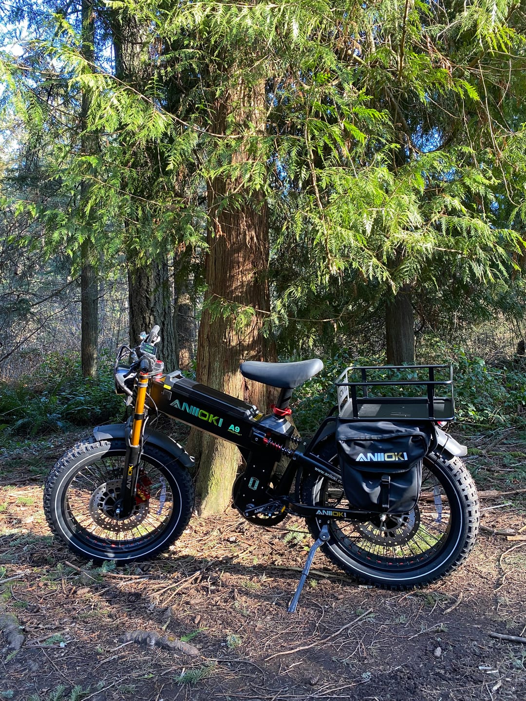 Customer photo review of 2025 Version A9 Pro Max 60V Dual Motor Ebike