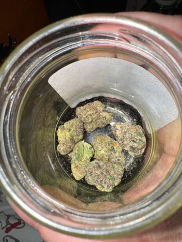 Customer photo review of Candy Gelato