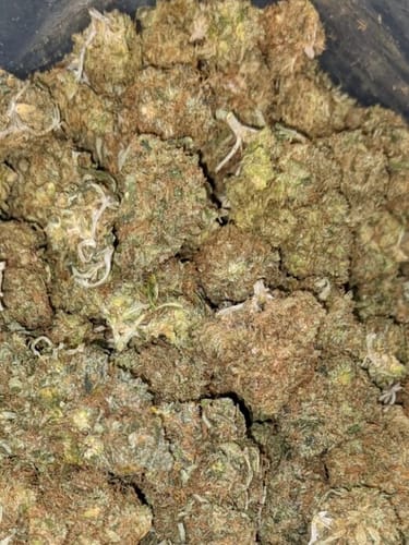 Customer photo review of Fire OG - 28 Grams - Indica
