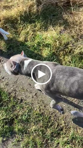 Customer video review of Shiny Hair