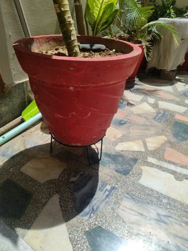 Customer photo review of United Crafts Web Pots Stand- Unique & High Quality Stands for Home and Garden