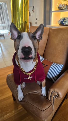 Customer photo review of Initial Letter Jewelry Dog Tag(A-Z)