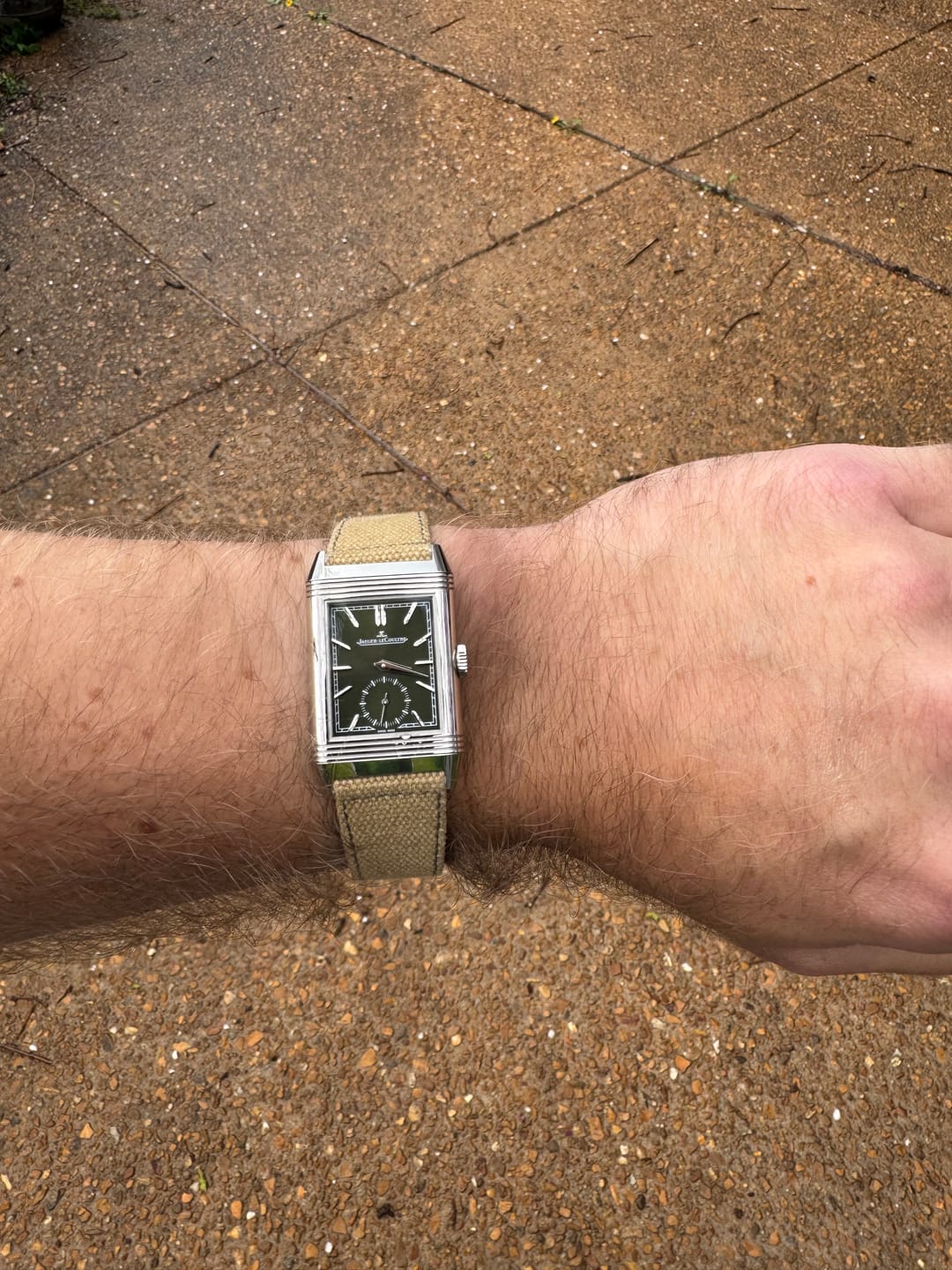 Customer photo review of Desert Tan Canvas