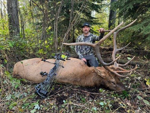 Customer photo review of Beast Broadheads - 2 Pack