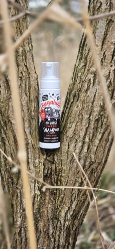 Customer photo review of Flea & Tick No Rinse Shampoo for Dogs & Cats