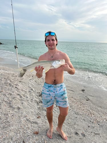 Customer photo review of 9'4" No Excuses Surf Travel Rod with Tube Medium-Heavy Action 3/4oz to 3oz