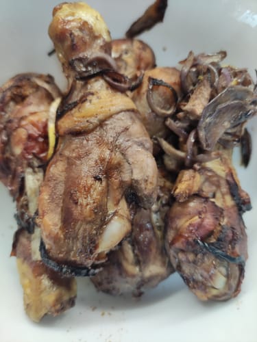 Customer photo review of Air Fryer Novio Grill & Fry
