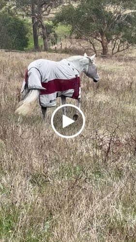 Customer video review of LE Boxter Hybrid Mack Turnout 0g