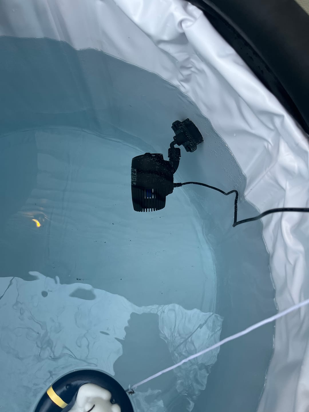 Customer photo review of Water Circulation Jet