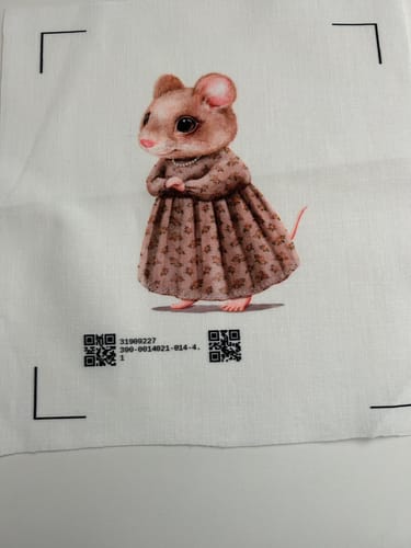 Customer photo review of Little Critters It's a Party! Balloons Fabric