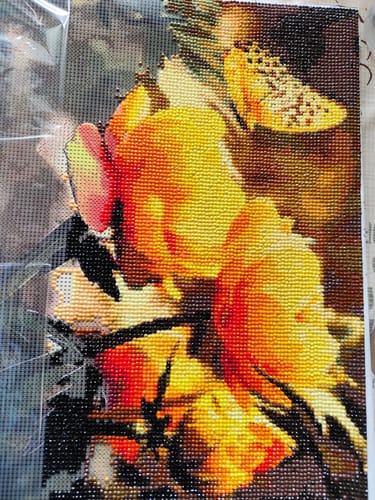 Customer photo review of 5D Diamond Painting Schmetterling mit Blumen