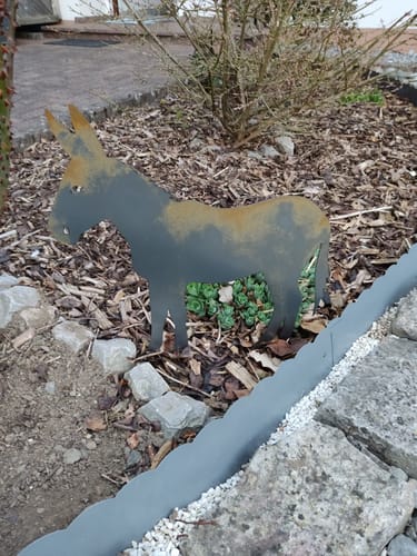 Customer photo review of Gartenstecker Esel