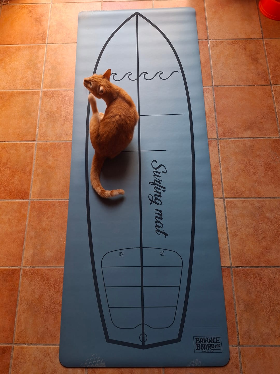 Customer photo review of Surfing mat, the yoga mat for Surfers