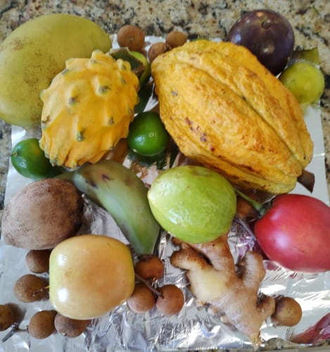 Customer photo review of Tropical Variety Box