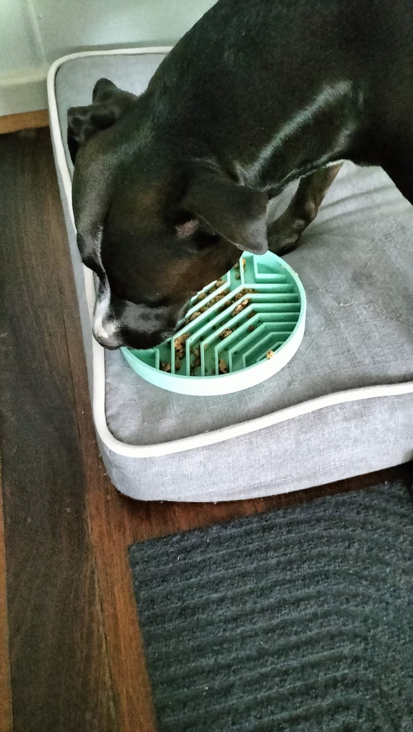 Customer photo review of Bowls Sample Packs