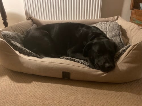 Customer photo review of The Slumber Tray Bed - Sandstone