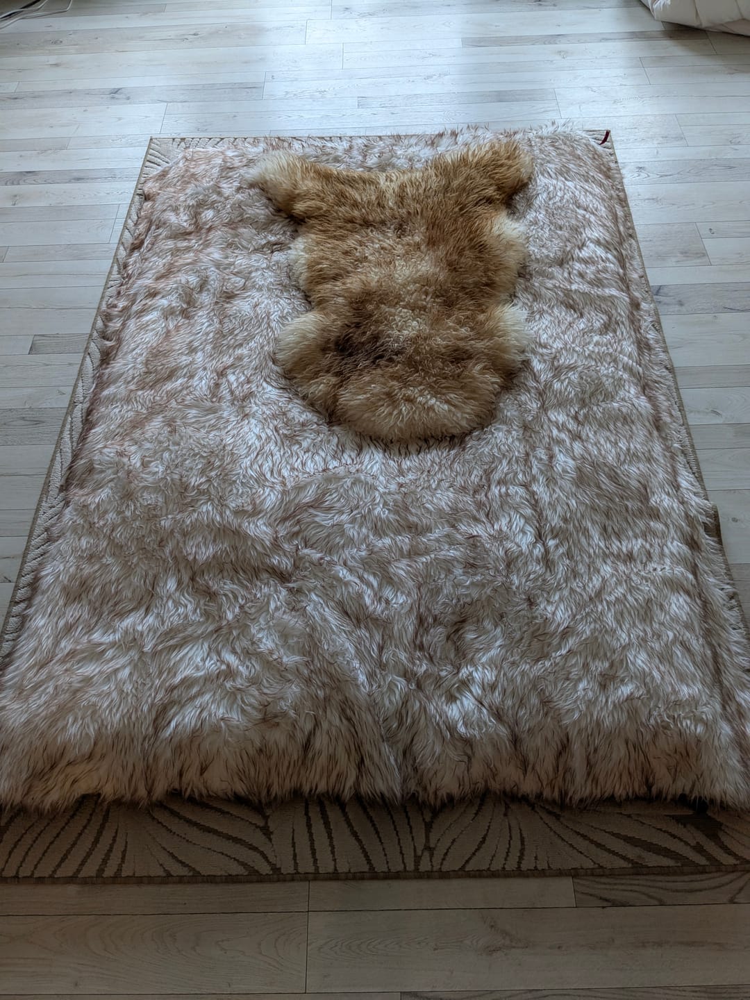 Customer photo review of Free Splash Blanket