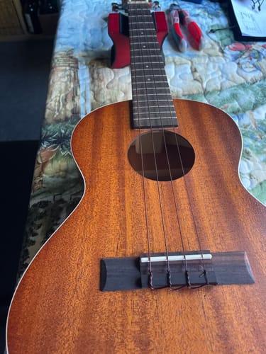 Customer photo review of BT-LG Worth Brown Tenor Low G Ukulele Strings TWO Restrings per Pack Fluorocarbon