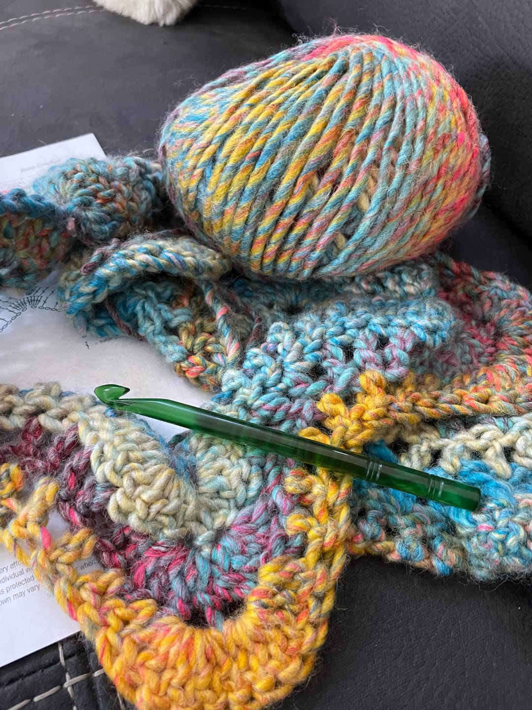 Customer photo review of Sierra Chunky - Patons