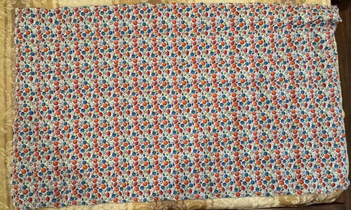 Customer photo review of Assorted Sports Balls Fabric - White