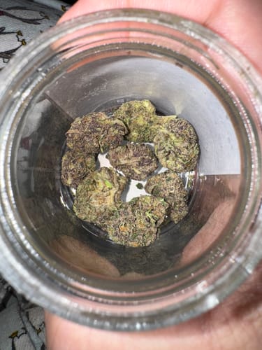 Customer photo review of Mind Fuck