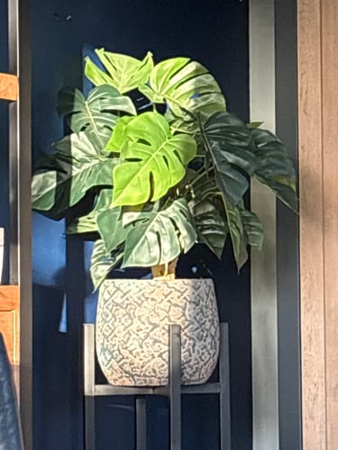 Customer photo review of Monstera Kunstplant 65cm